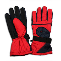 Ski Gloves