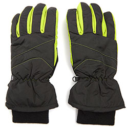 Ski Gloves