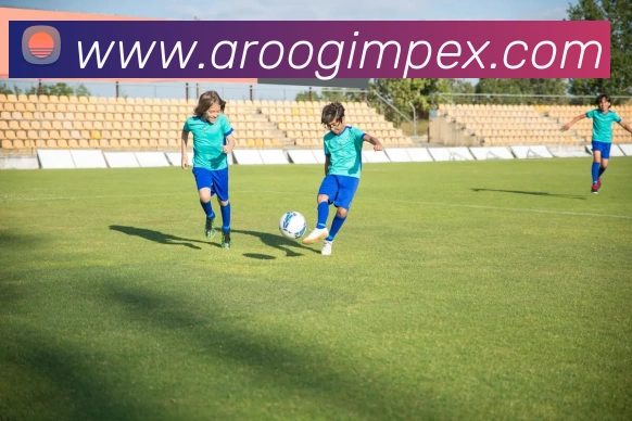 互动解说服务